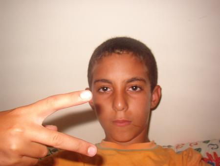 faez_2006